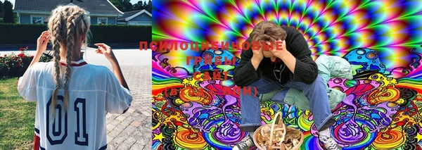 мяу мяу мука Белокуриха