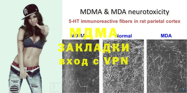мяу мяу мука Белокуриха