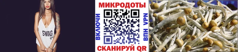 Купить закладки  Анжеро-Судженск  Галлюциногенные грибы Magic Shrooms 
